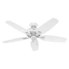 Led Indoor Snow White Ceiling Fan With