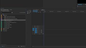 Quick Tip Using Label Colors To Manage Premiere Pro Projects