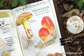 Identifying Mushrooms Plus A Field Guide Printable