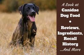 My pooch has done well on the food even though it still contains some undesirable. Canidae Dog Food Reviews Ingredients Recall History And Our Rating