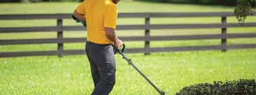 Fall Lawn Care Tips For Plant City
