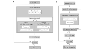 Simulation Algorithms Of Virtual Infection Models For Whole