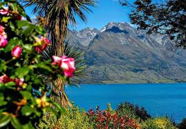 new zealand tour package from chennai