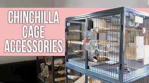chinchilla cage accessories set up