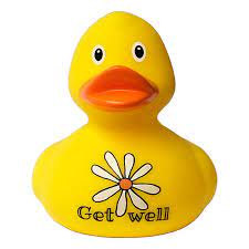 Now, harry you must know all about muggles, tell me, what exactly is the function of a rubber duck? Get Well Rubber Duck Buy Premium Rubber Ducks Online World Wide Delivery