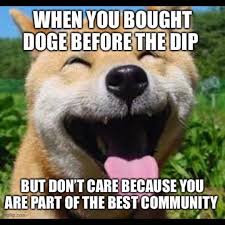 Doge digital wallpaper, memes, one animal, domestic, pets, canine. When You Bought Dogecoin Before The Dip Meme Finance Memes Tips Photos Videos
