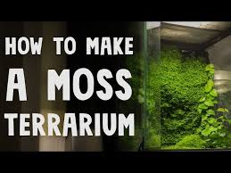 How To Make A Moss Terrarium