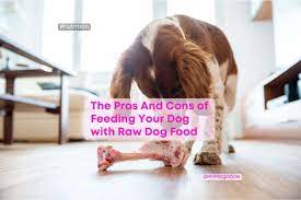 raw dog food pros and cons new 2022 guide