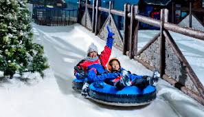 Buy snow tickets with a 100% buyer guarantee. Ski Dubai Snow Park Information Tickets Packages Ski Dubai