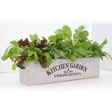 Unwins Kitchen Garden Salad Kit