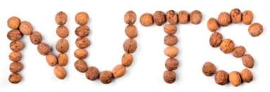 Image result for national nut day