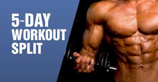 the best 5 day workout split routine