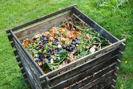 Compost And Fertilizer How To Use Them