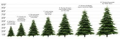 Real Christmas Trees Edinburgh Crimbotrees We Support