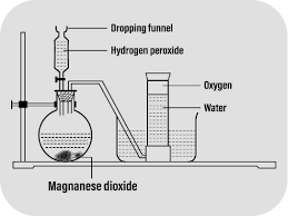 In The Laboratory Preparation Of Oxygen