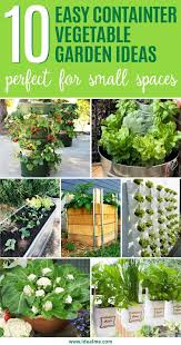 easy container vegetable garden ideas