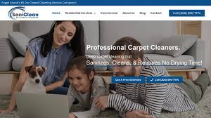 seattle carpet cleaning companies