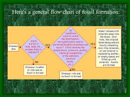 Fill In The Flowchart To Explain How Fossils Are Formed