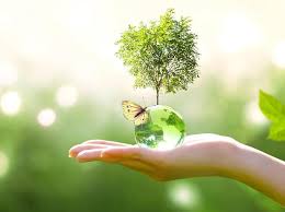 The world environment day is also abbreviated as wed and was first declared to be celebrated by the un general assembly in the year 1972. Cuqperl7npypfm