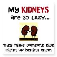 Dialysis is a treatment to replace the filtering function of the kidneys when they reach end stage renal disease. 32 Kidney Stones Ideas Kidney Stones Kidney Humor