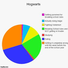 Hogwarts Funny Pie Charts Pie Chart Memes Harry Potter