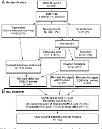 Figure 1 From An Immunohistochemical Algorithm For Ovarian