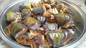 Once the pores are visible, the crab will bang its pincers on one of them. Mouthwatering Coconut Crabs Curry Recipe How To Clean Cook Coconut Crab Cooking Crab Masala Youtube