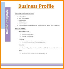 Job Resume Summary Examples Sample Personal Profile For Template