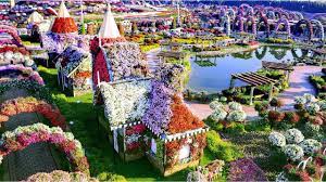 dubai miracle garden drone shot hd