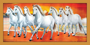 7 white horse wallpapers wallpaper cave