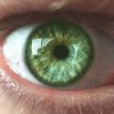 10 facts about green eyes kugler vision