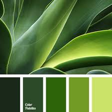 sea green color palette ideas