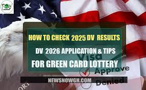 how to check dv 2025 results dv 2026