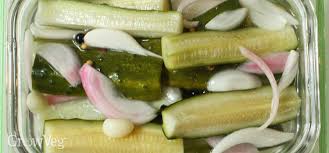 make homemade pickles without canning