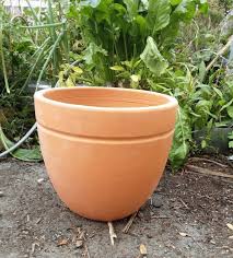 Terracotta Pot Large Grow From Here
