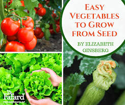 easy vegetables to grow from seed fafard