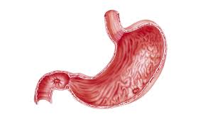 ayurvedic treatment for stomach ulcer