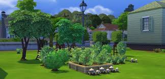 the sims 4 gardening skill plant