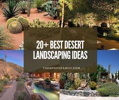 Desert Backyard Landscaping Ideas