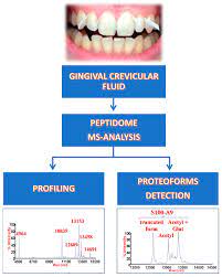 gingival crevicular fluid peptidome