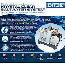 Best Salt Water Pool System Reviewed Compared In 2019