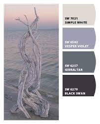 Driftwood Paint Colors From Chip It