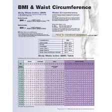 Bmi Waist Circumference Chart On Popscreen