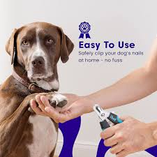 dog toe nail clippers for large dogs