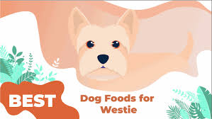 Best Dog Food For Westies From Puppies To Seniors