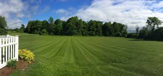 And the amount you will require will depend upon the clientele you target. Residential Commercial Lawn Care