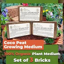 Garden Supply Coco Peat Brick 3 Set