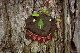 Mud Play: Make these Adorable Tree Faces! - Our Days Outside