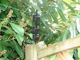 We stand by the high quality and usefulness of our items. Cat Fence Electric Fencing For Cats Electric Fencing Direct