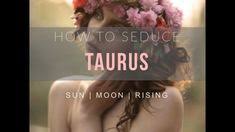 8 Best Sagittarius Taurus Compatibility Images